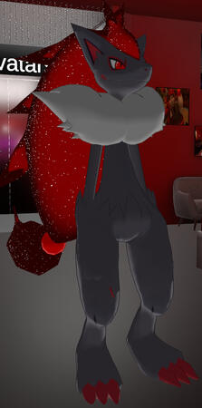 My Personal Zoroark My Personal Zoroark